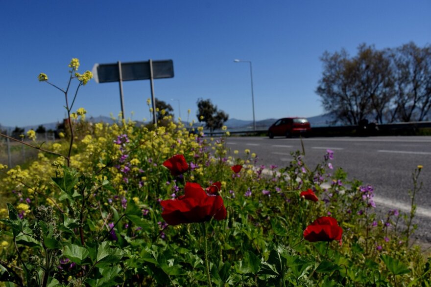 Καιρός την Κυριακή του Πάσχα: Με λιακάδα και υψηλές θερμοκρασίες το ψήσιμο του oβελία