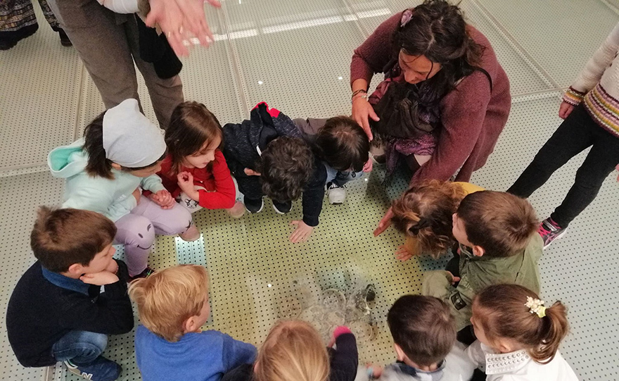 Μια δημιουργική βόλτα με την Ελεάννα