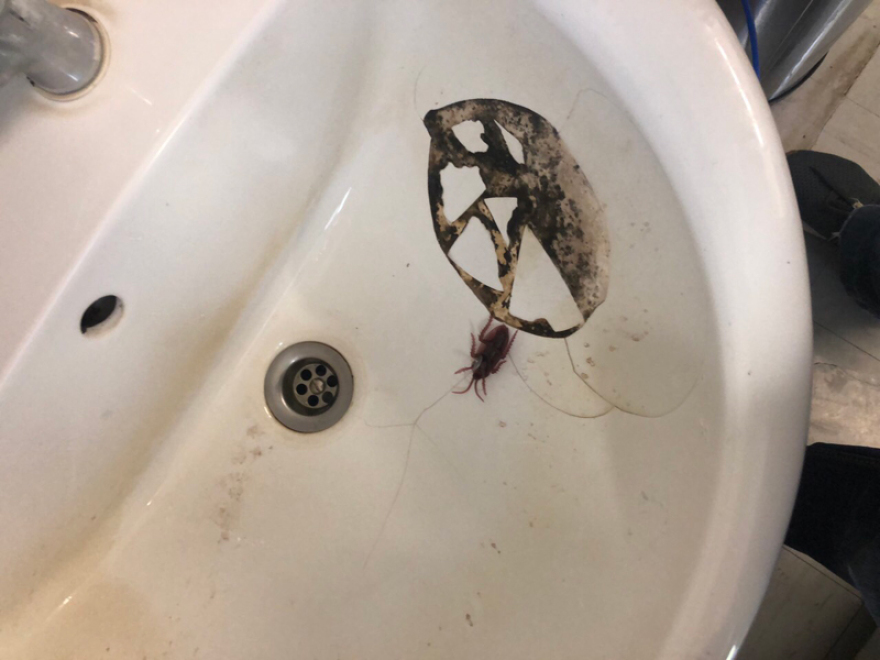 ΠΟΕΔΗΝ: Kομματικές καθαιρέσεις στελεχών στο Γενικό Κρατικό Νίκαιας