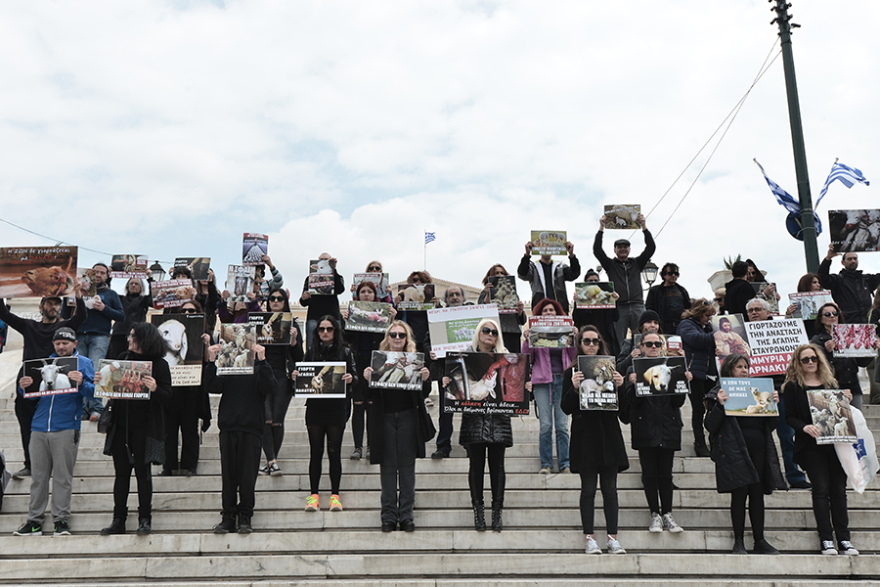 Να σταματήσει το σούβλισμα του αρνιού: Συγκέντρωση vegan στην πλατεία Συντάγματος