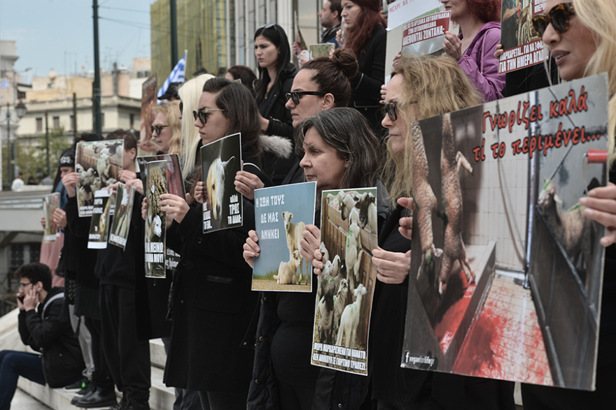 Να σταματήσει το σούβλισμα του αρνιού: Συγκέντρωση vegan στην πλατεία Συντάγματος