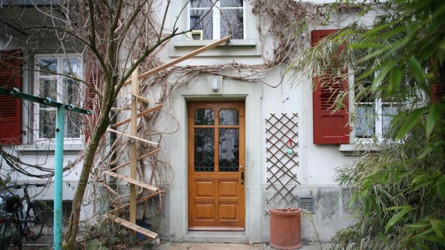 Λύνουν και το τελευταίο τους πρόβλημα οι Ελβετοί: Φτιάχνουν σκάλες για να ανεβαίνουν οι γάτες στα κεραμίδια