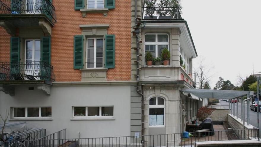 Λύνουν και το τελευταίο τους πρόβλημα οι Ελβετοί: Φτιάχνουν σκάλες για να ανεβαίνουν οι γάτες στα κεραμίδια