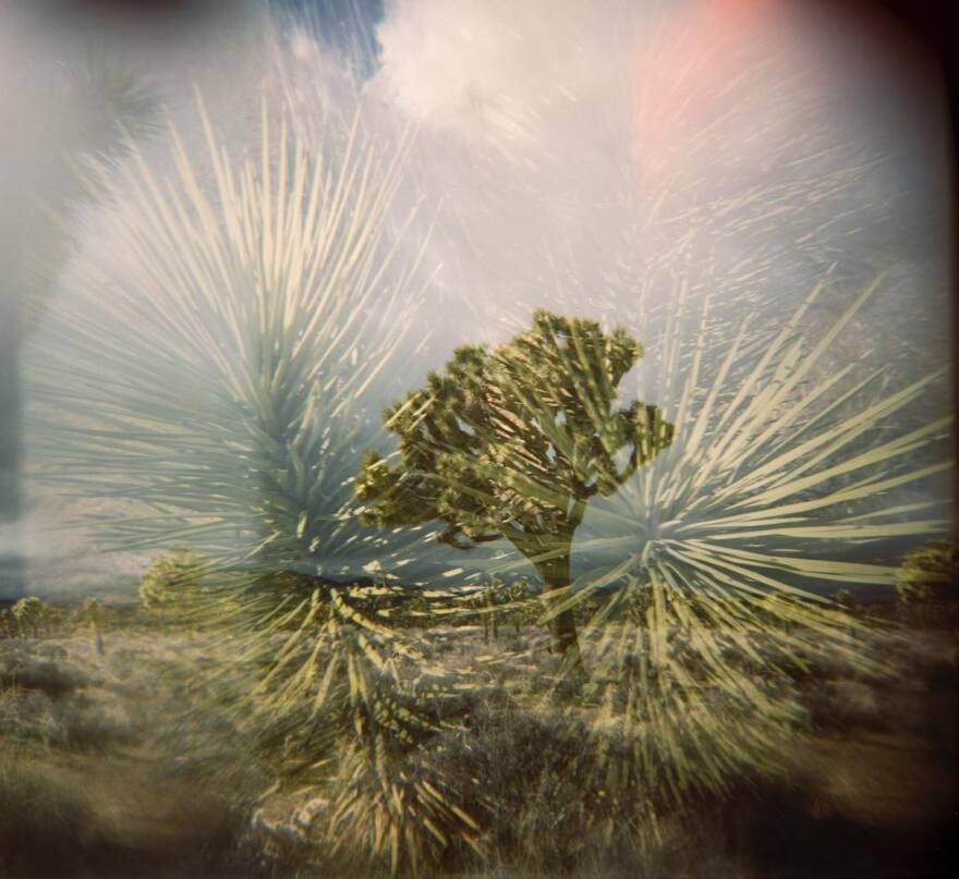 Μπρους Σπρίνγκστιν:  Ο θρύλος της ροκ επιστρέφει με νέο άλμπουμ