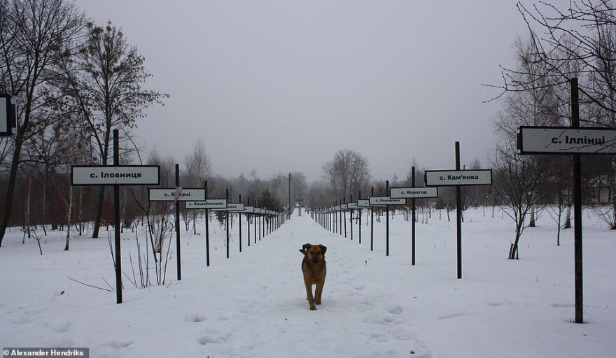 «Μαύρη» επέτειος του Τσερνόμπιλ: Πώς είναι 33 χρόνια μετά η τοποθεσία του «πυρηνικού εφιάλτη»