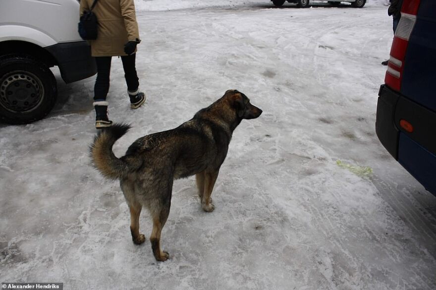 «Μαύρη» επέτειος του Τσερνόμπιλ: Πώς είναι 33 χρόνια μετά η τοποθεσία του «πυρηνικού εφιάλτη»