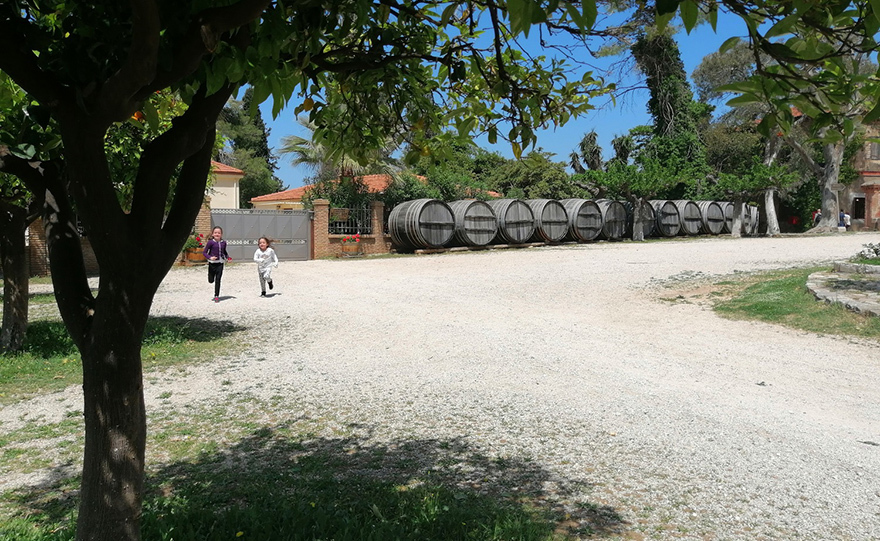 Οι παλιές ετικέτες του κρασιού