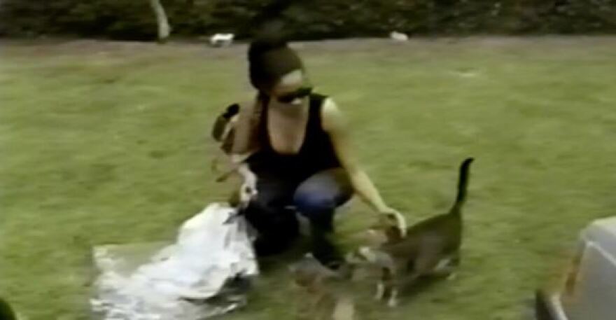 Baby Sussex: Μήπως τελικά η Μέγκαν Μαρκλ ονόμασε το μωρό «Άρτσι» για να τιμήσει τον... υπέρβαρο γάτο της;