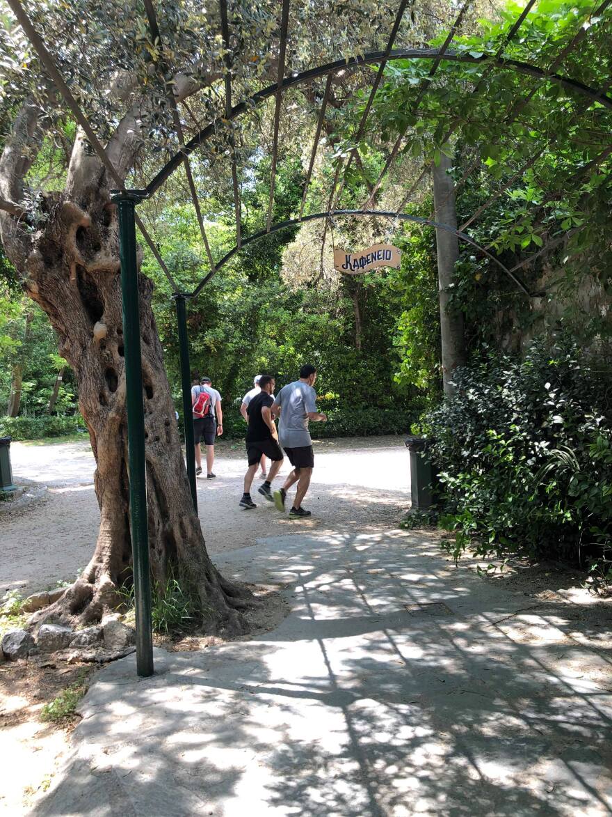 Ο Βασίλης Κικίλιας για τζόκινγκ στον Εθνικό Κήπο