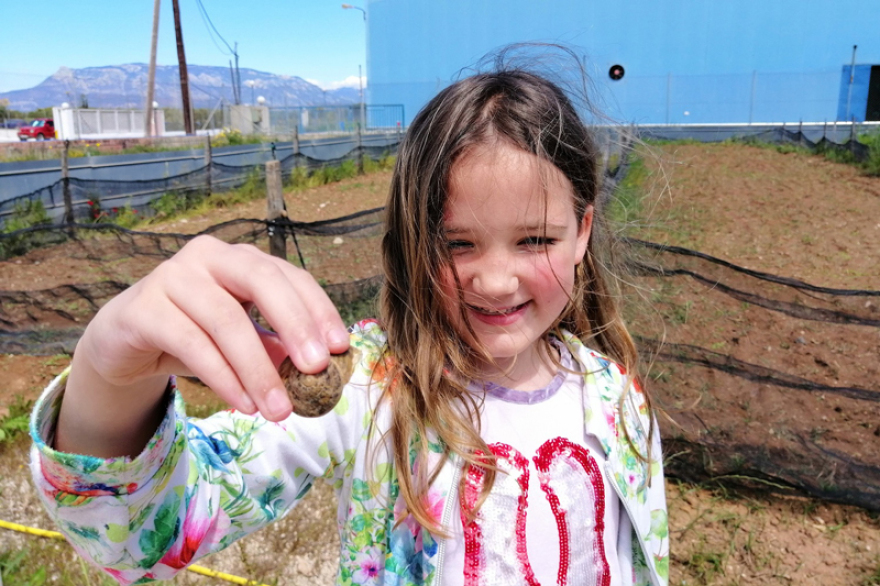 Tο σαλιγκάρι από την Αρχαία Κόρινθο