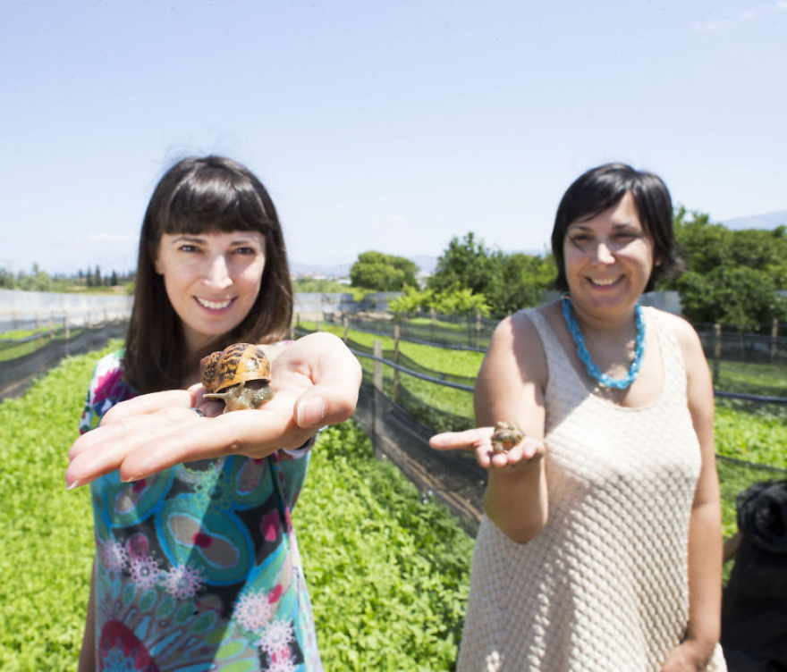 Tο σαλιγκάρι από την Αρχαία Κόρινθο