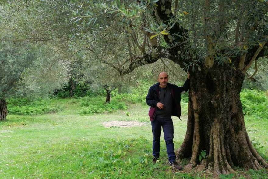 Στους καταρράκτες της Νεμούτας