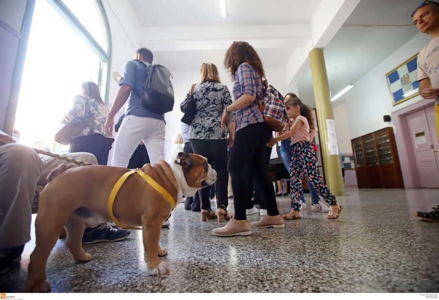 Οι εκλογές σε φωτογραφίες: Με άλογα, σκυλάκια και... νυφικά στην κάλπη