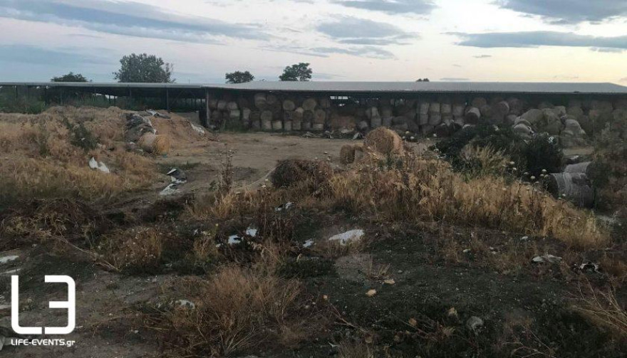 Φωτογραφίες: Δείτε που έθαψε τον Δημήτρη Γραικό ο δολοφόνος του