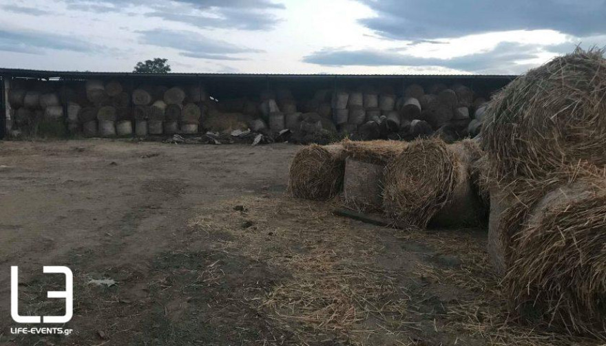 Φωτογραφίες: Δείτε που έθαψε τον Δημήτρη Γραικό ο δολοφόνος του