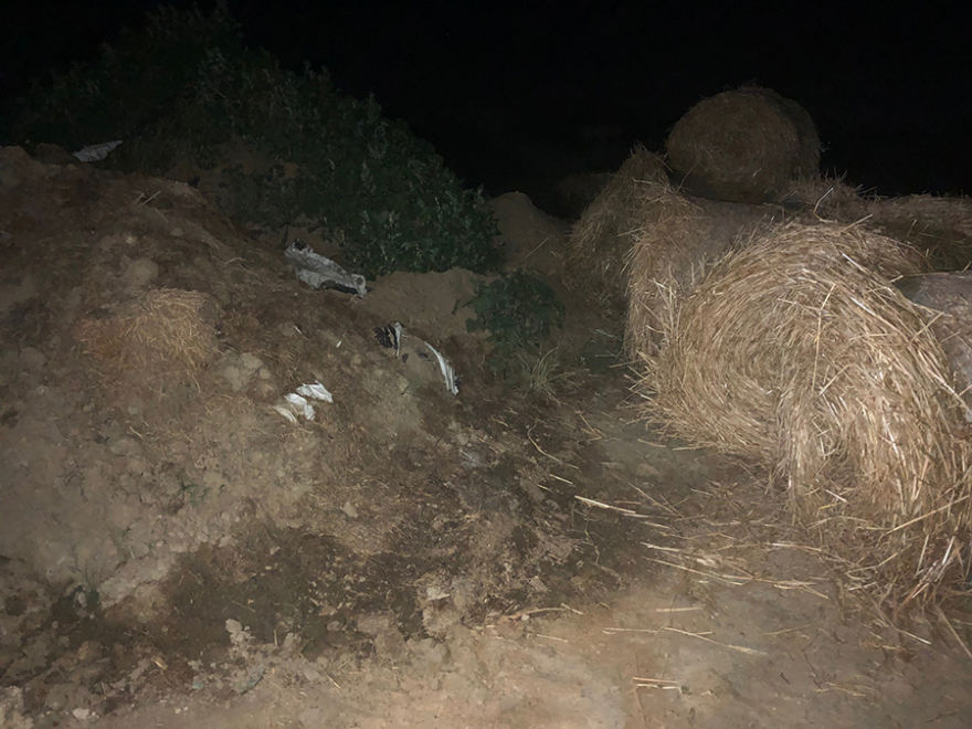 Δολοφονία Γραικού: Σε δύο ξεχωριστούς λάκκους είχε προσπαθήσει να κρύψει τα ίχνη του εγκλήματος ο δράστης