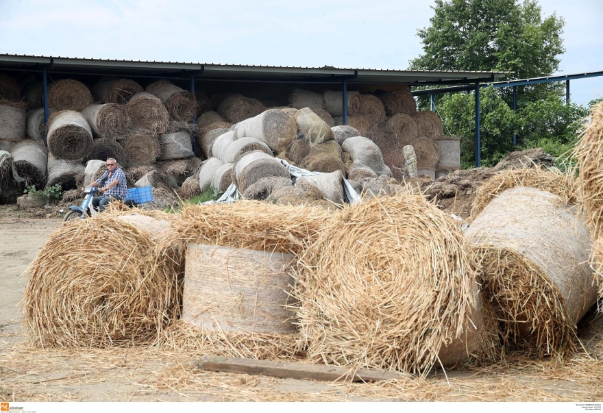 Δολοφονία Γραικού: Συγκίνηση στο «τελευταίο αντίο» από την οικογένειά του