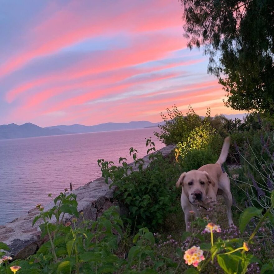 Η Σμαράγδα Καρύδη απολαμβάνει το ηλιοβασίλεμα στην Αίγινα 