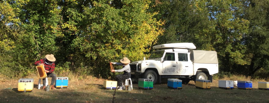 Ένα φυσικό ενεργειακό gel από την Ήπειρο!