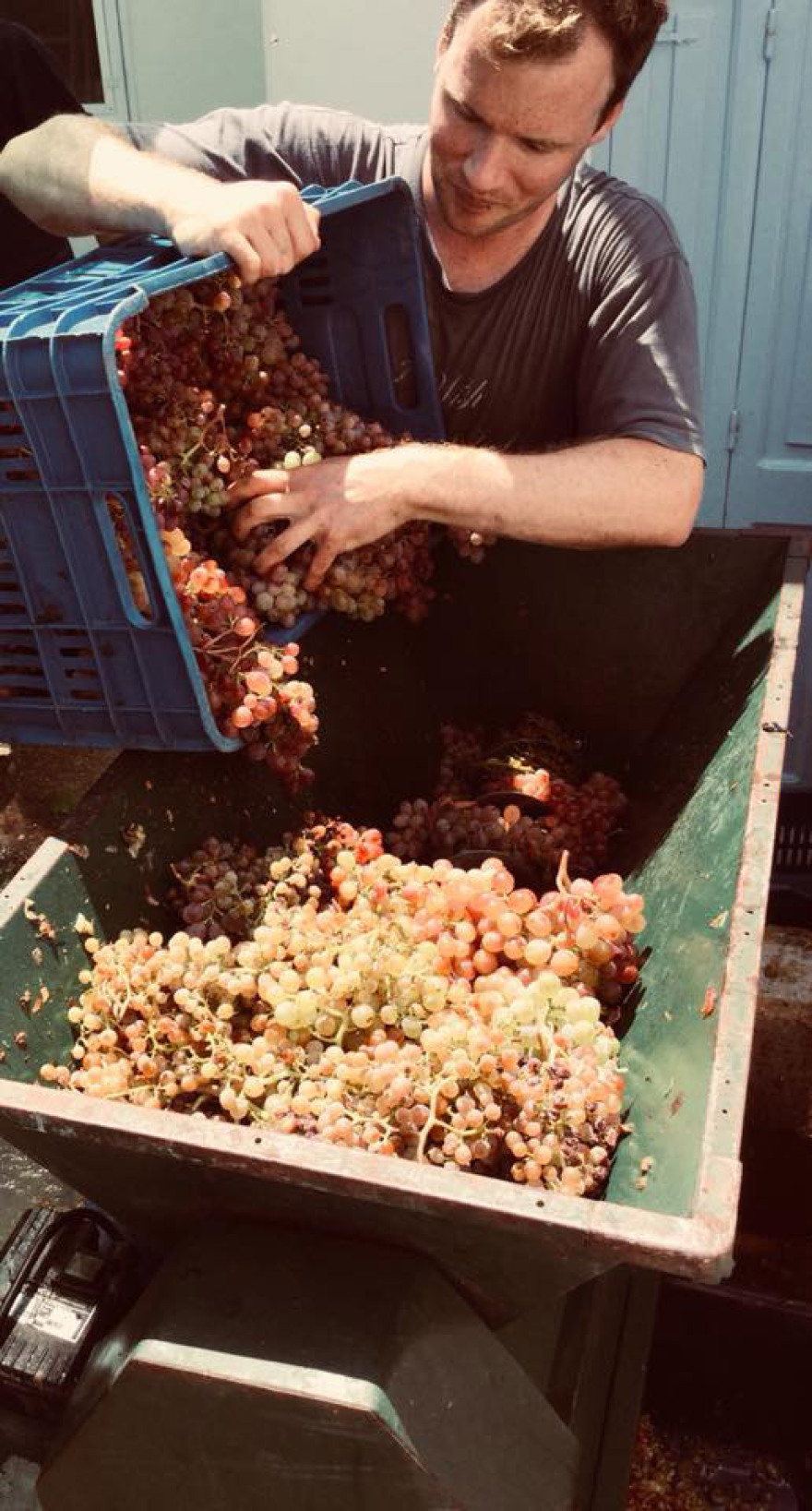 Ένας έρωτας, ένα νησί, ένα κρασί!