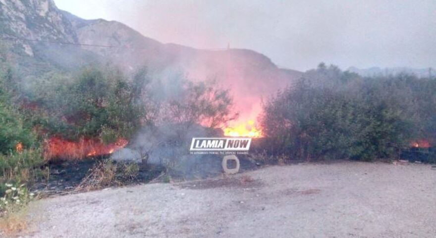 Λαμία: Συναγερμός για πυρκαγιά κοντά στο hot spot Θερμοπυλών