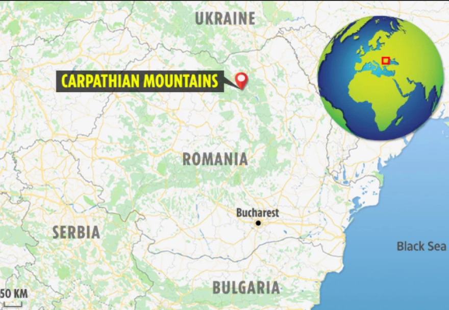 Έδωσε μπουνιά σε αρκούδα που ήθελε να τον κατασπαράξει και σώθηκε