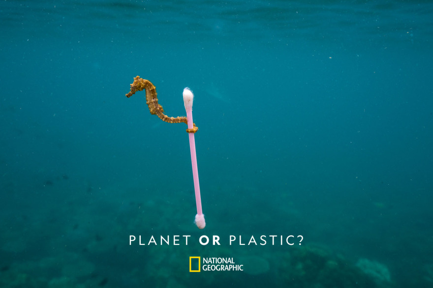Planet of plastic? Επιλέγουμε τον πλανήτη. Κάθε πράξη μετράει