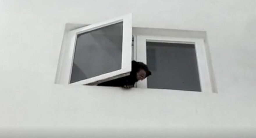 Τραγουδίστρια στη Μαλαισία συνελήφθη διότι μπέρδεψε μία αρκούδα... με σκύλο!