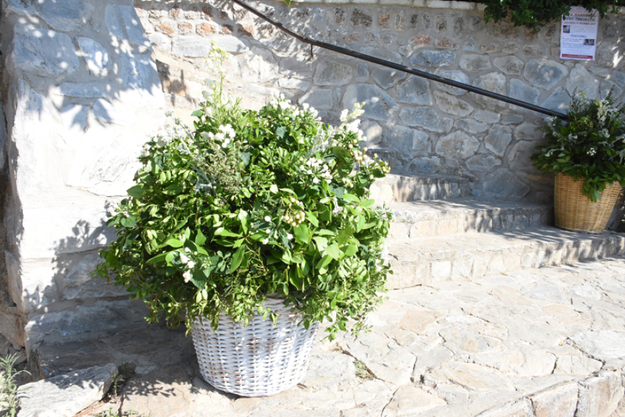 Τζένη Μπαλατσινού - Βασίλης Κικίλιας: Το άλμπουμ ενός λαμπερού γάμου