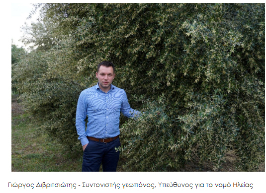 Το ελαιόλαδο από την Ολυμπία που «σαρώνει» τα διεθνή βραβεία