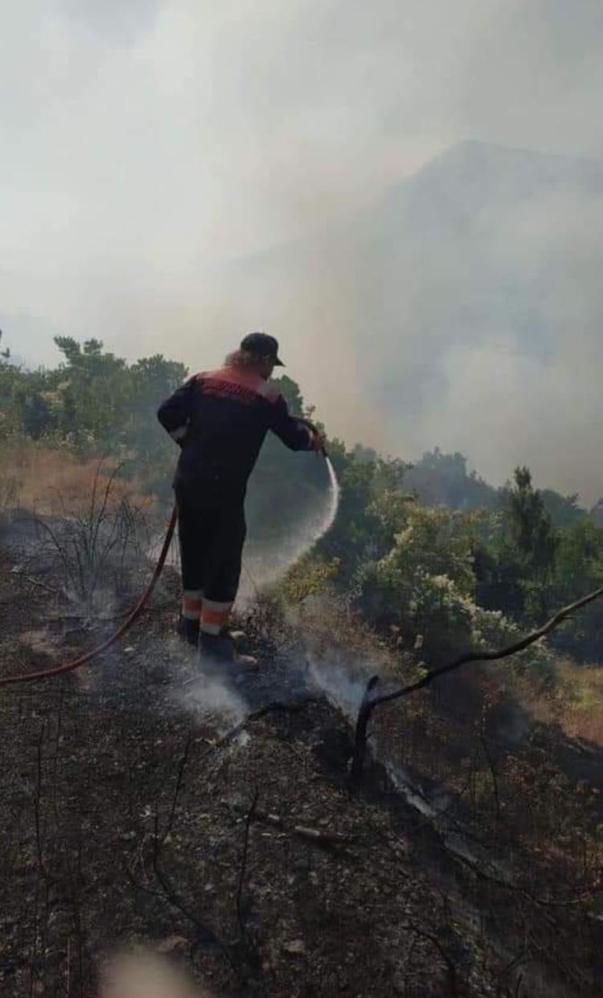 Εύβοια: Μεγάλη πυρκαγιά σε δασική έκταση - Εκκενώθηκε χωριό