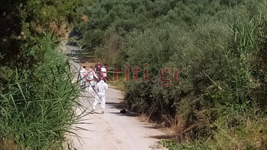 Μυστήριο με τις συνθήκες θανάτου της Αμερικανίδας βιολόγου στα Χανιά