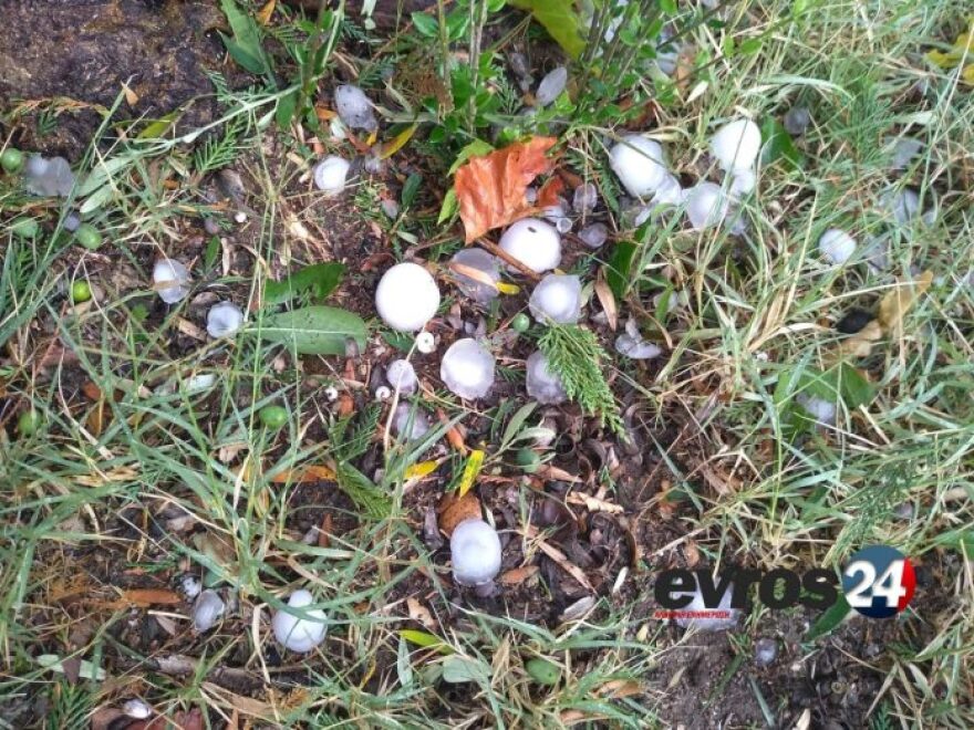 Φονική θεομηνία στη Χαλκιδική: Έξι τουρίστες νεκροί μέσα σε ελάχιστα λεπτά