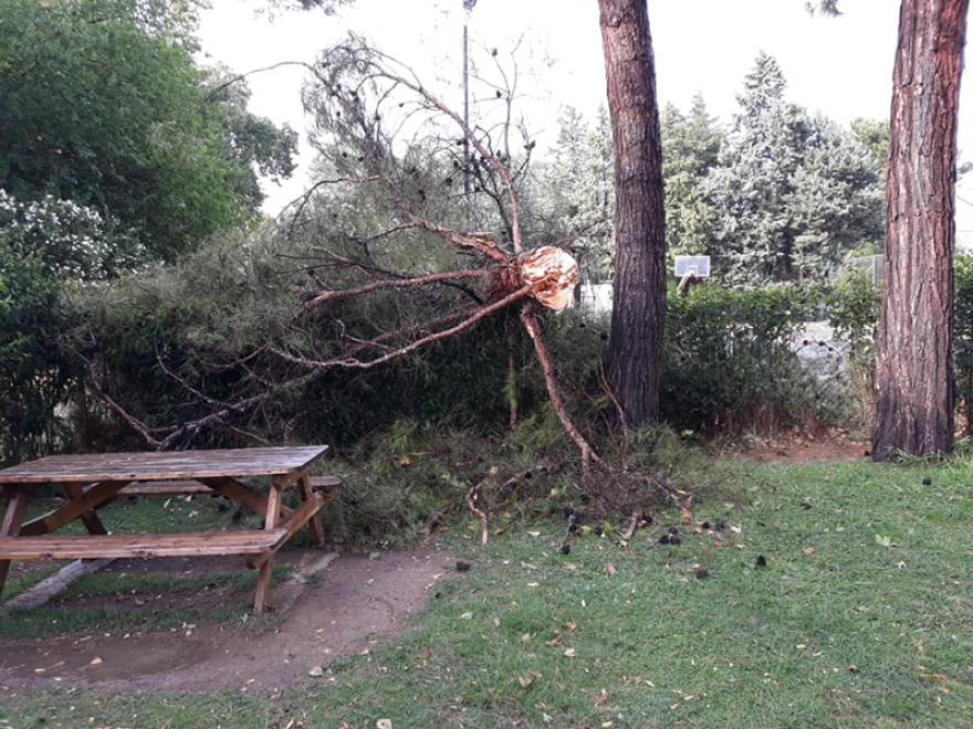 Φονική θεομηνία στη Χαλκιδική: Έξι τουρίστες νεκροί μέσα σε ελάχιστα λεπτά