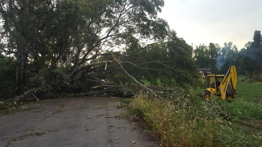 Φονική θεομηνία στη Χαλκιδική: Έξι τουρίστες νεκροί μέσα σε ελάχιστα λεπτά