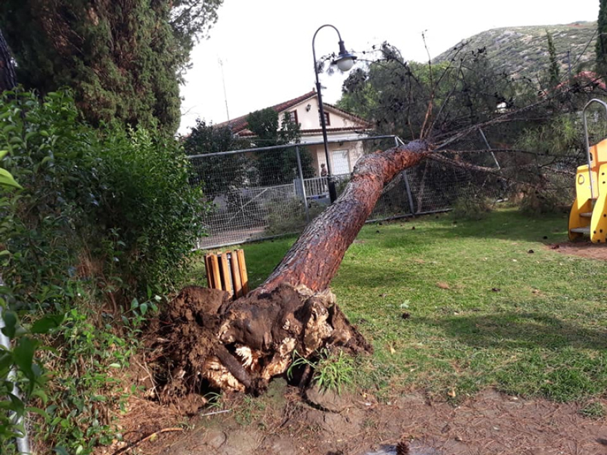 Φονική θεομηνία στη Χαλκιδική: Έξι τουρίστες νεκροί μέσα σε ελάχιστα λεπτά