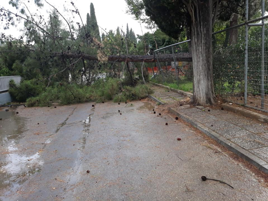 Φονική θεομηνία στη Χαλκιδική: Έξι τουρίστες νεκροί μέσα σε ελάχιστα λεπτά