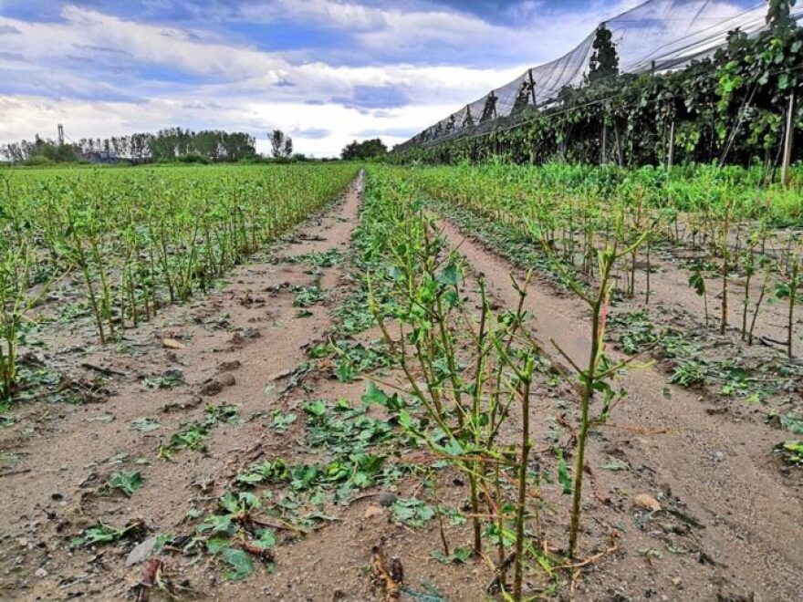 Φονική θεομηνία στη Χαλκιδική: Έξι τουρίστες νεκροί μέσα σε ελάχιστα λεπτά