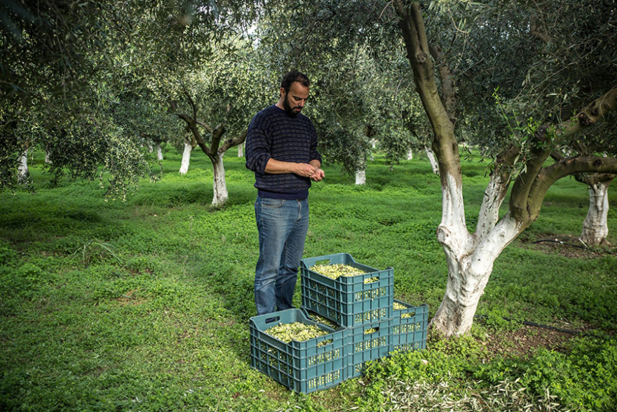 Λάδι με άρωμα '21