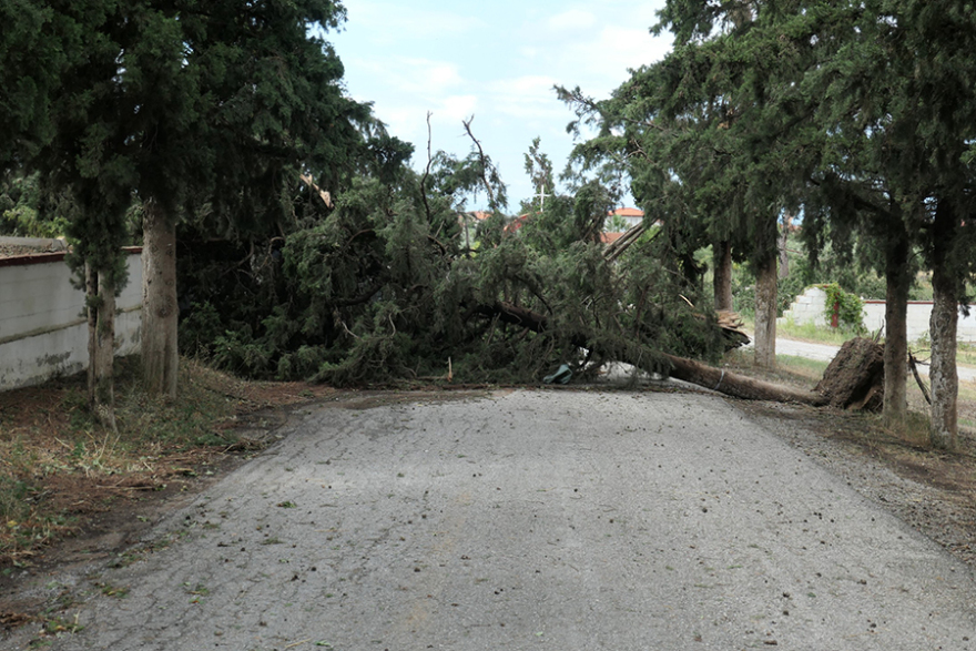 Χαλκιδική: Οι εικόνες - σοκ της καταστροφής