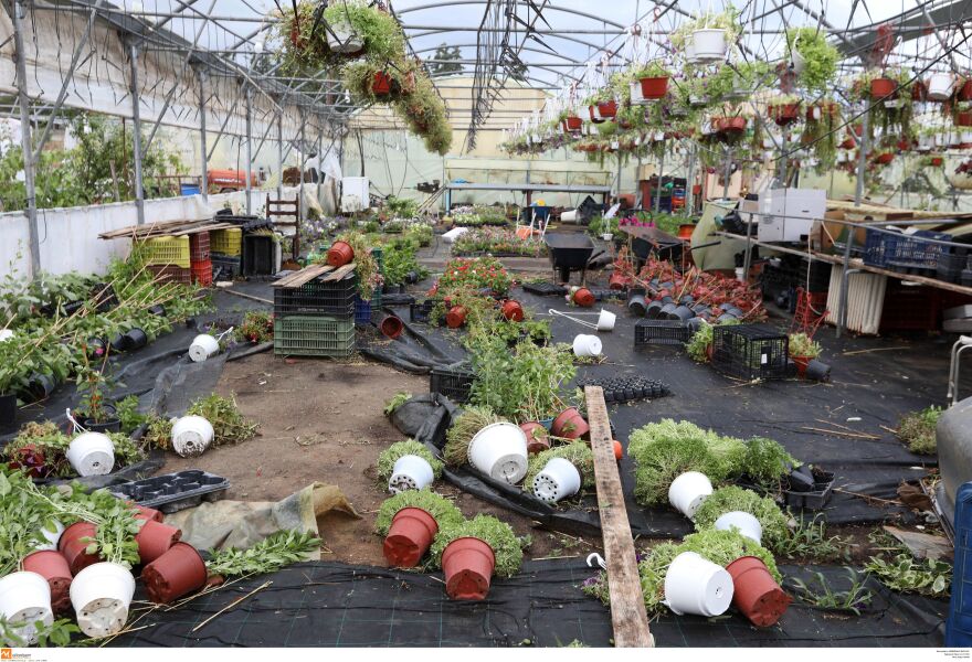 Η Χαλκιδική προσπαθεί να κλείσει τις πληγές της: Αγώνας δρόμου για την αποκατάσταση των υποδομών