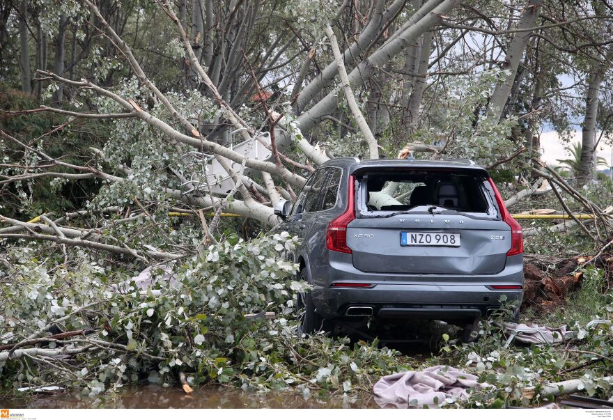 Η Χαλκιδική προσπαθεί να κλείσει τις πληγές της: Αγώνας δρόμου για την αποκατάσταση των υποδομών