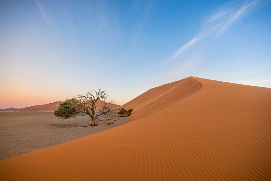 Χακούνα Ματάτα, για πάντα