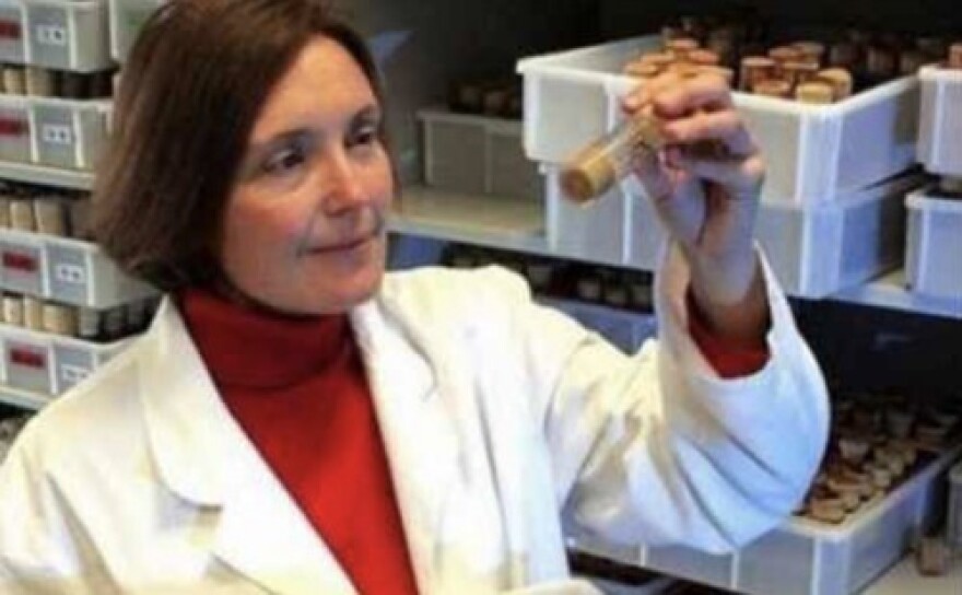 Δολοφονία Αμερικανίδας βιολόγου: Ψυχρός ο δολοφόνος μετά το έγκλημα