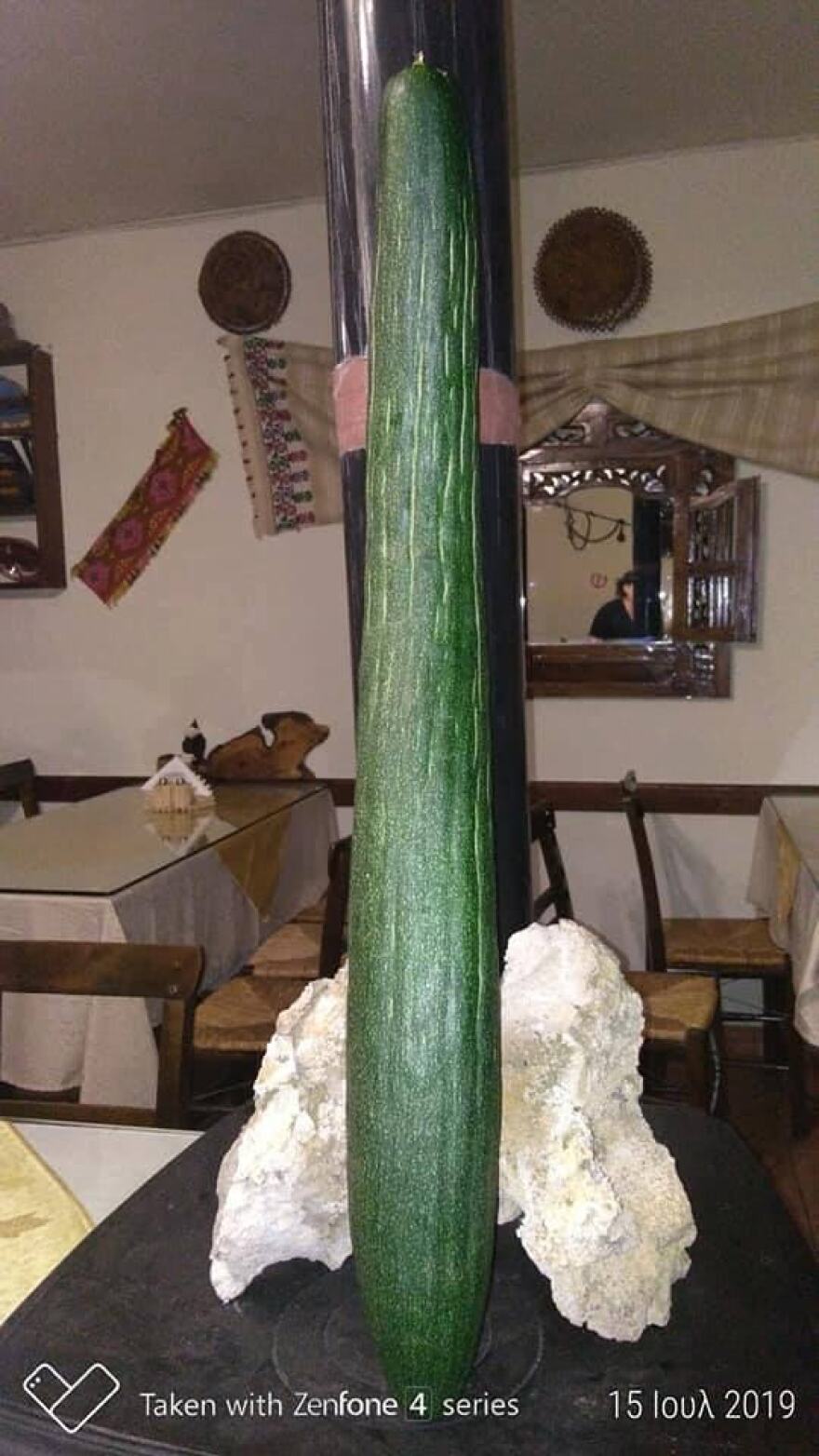 Κρήτη: Αγγούρι... γίγαντας στη Μεσσαρά