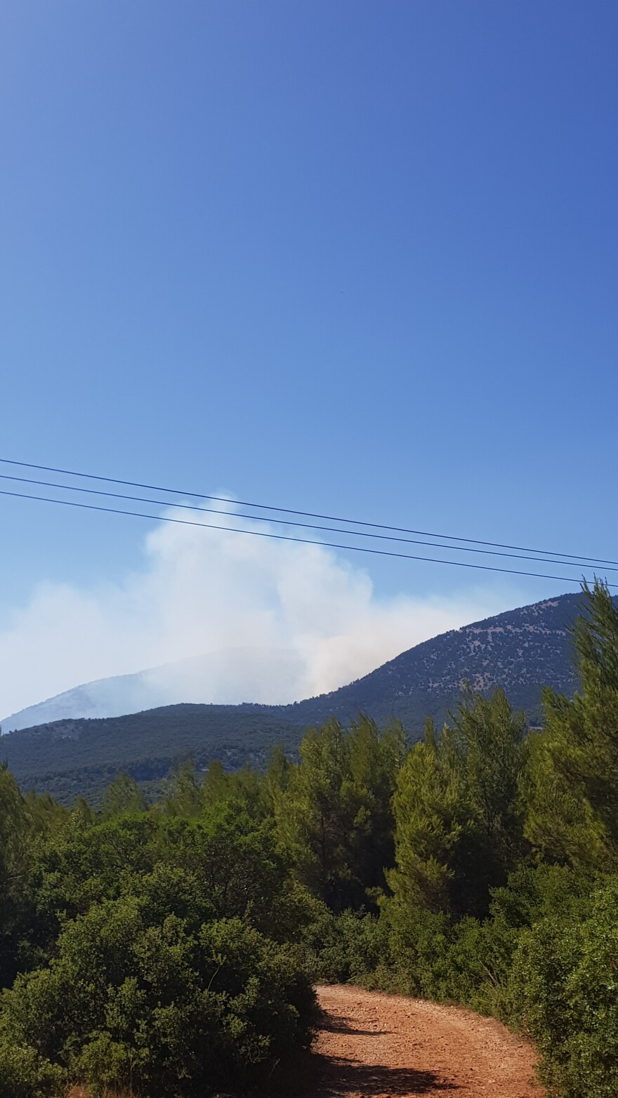 Φωτιά στον Κιθαιρώνα: Δύσκολη νύχτα για τους πυροσβέστες - Η φωτιά μαίνεται σε δύσβατο σημείο