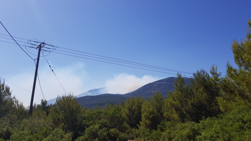 Φωτιά στον Κιθαιρώνα: Οι ισχυροί άνεμοι δυσκολεύουν την κατάσβεση