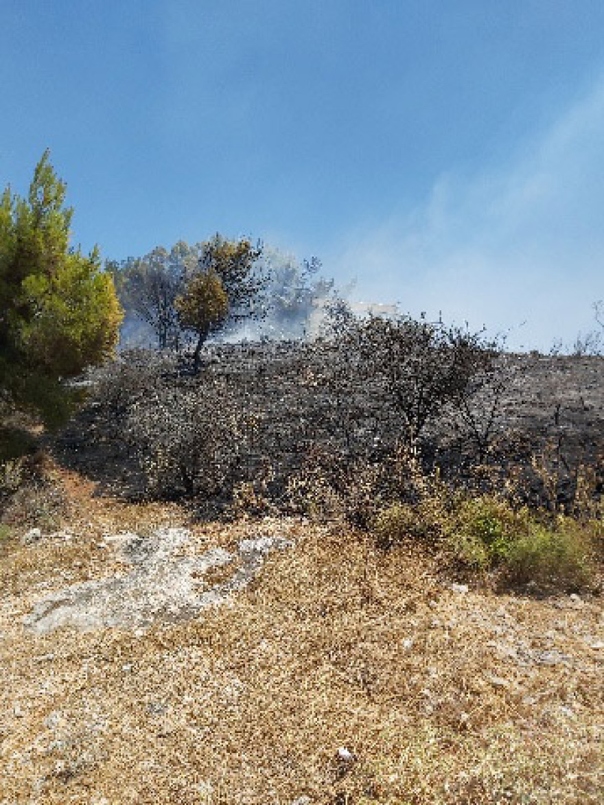 Σε ύφεση τα πύρινα μέτωπα