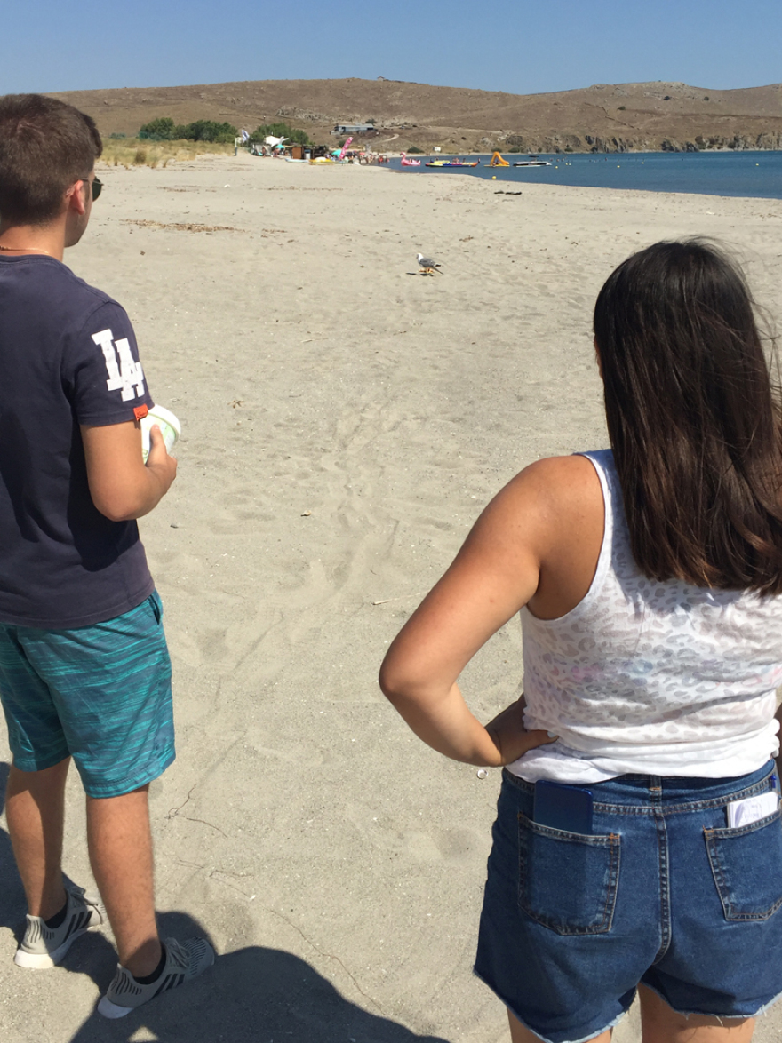 Ζητείται βοήθεια για τον τραυματισμένο «Ιωνάθαν» της Λήμνου