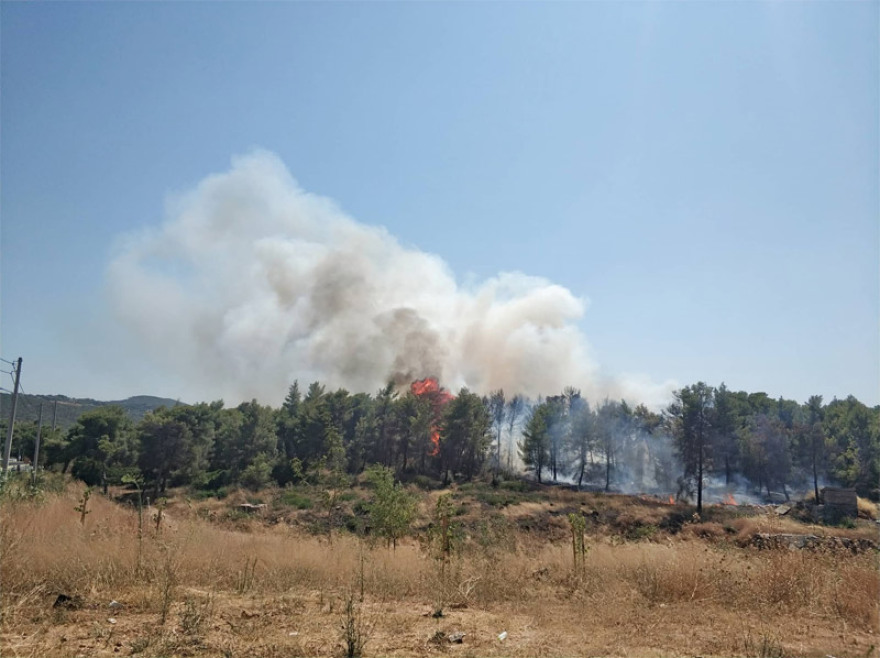 Φωτιές σε Ραφήνα και Βαρνάβα: Άμεση κινητοποίηση της Πυροσβεστικής - Τέθηκαν υπό έλεγχο